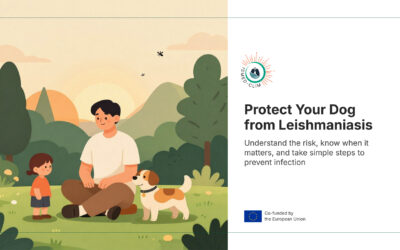 Leishmaniasis: What It Is and How to Protect Your Dog